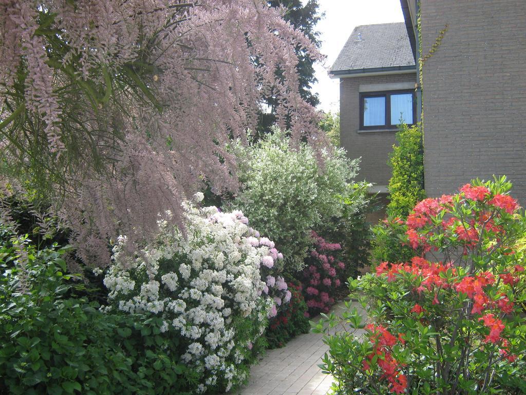 Prince D'Orange Bed & Breakfast Braine-lʼAlleud Exterior foto